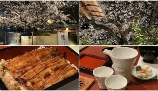 満嬉多（まきた）（静岡市駿河区）　～満開の桜を愛でながらの鰻重～