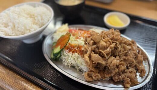 焼肉定食の慶長（静岡県藤枝市）～甘じょっぱいタレの焼肉定食が１番人気！～