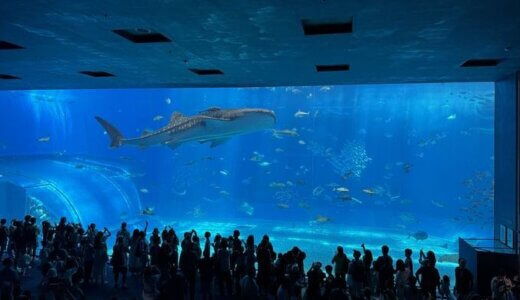 沖縄旅行2025　～初めての子連れ家族旅行～