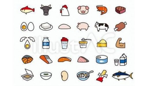 タンパク質とは‥