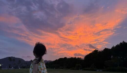 地球は美しい