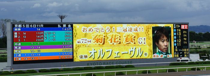 菊花賞2011-7