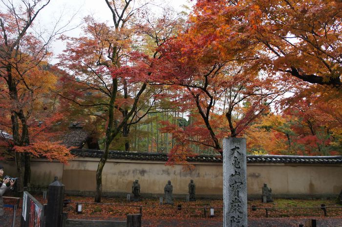 京都宝厳院